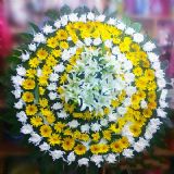 红岗开业花篮